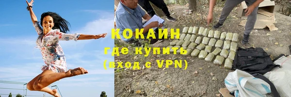 твердый Алексеевка