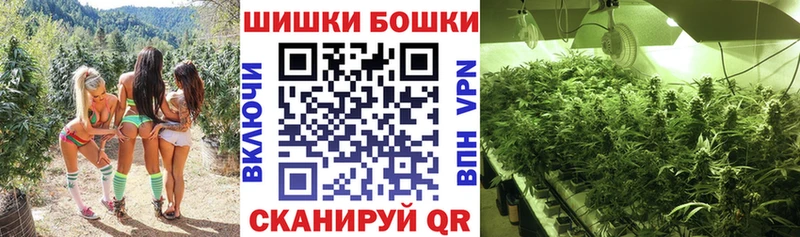 цена   мега как зайти  МАРИХУАНА конопля  Волгодонск 